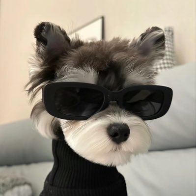 Coinss03's profile picture. 全职冲狗的生活日记 交易使用https://t.co/DfuOkTrAL1 钱包监控社区https://t.co/ZPOwIdNFwx 新盘预警信号https://t.co/aQjC9GWbx3 发布的任何信息不具备有投资价值|只是个人分享记录