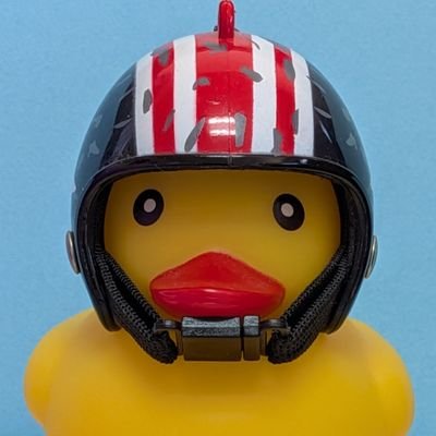 古希前の爺さんが近所の川や田んぼで、自転車散歩を兼ねてボケ防止・健康の為野鳥撮影しています🤗自己満足で鳥さん達の備忘録として毎日ポストupを、ボケとか画像の不備&不適切なコメントなどごめんなさいDMもm(_ _)m
撮影にハマった鳥さん達がこちら #カワセミ #モズ #アオサギ #野鳥撮影