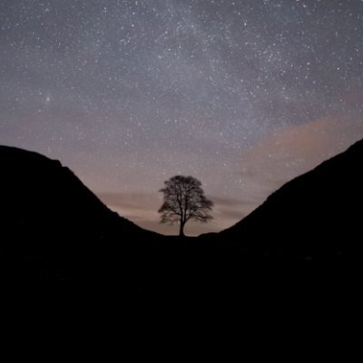 A collection of undiscovered photography from every corner of web3 | Curated by @EverywhereLabs | This month's pfp by @marksmcneill.