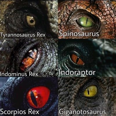 Mhm53533's profile picture. 