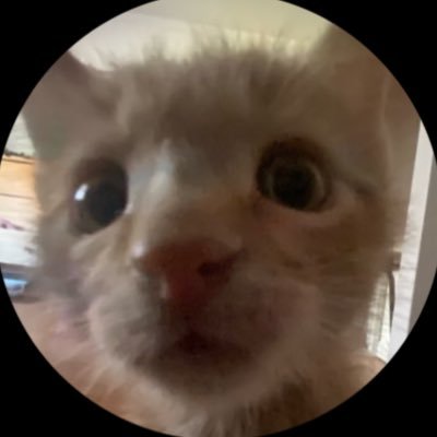 tsuuqi's profile picture. vampire!