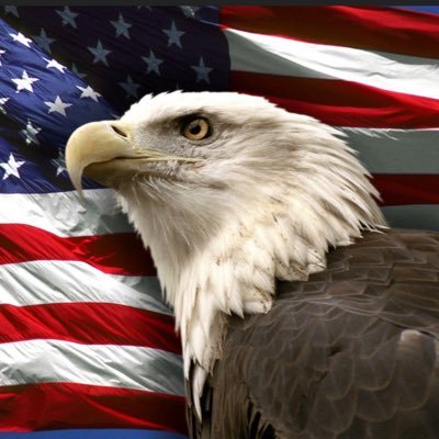 The Democrat Party is not a political party. It is a domestic extremist organization.