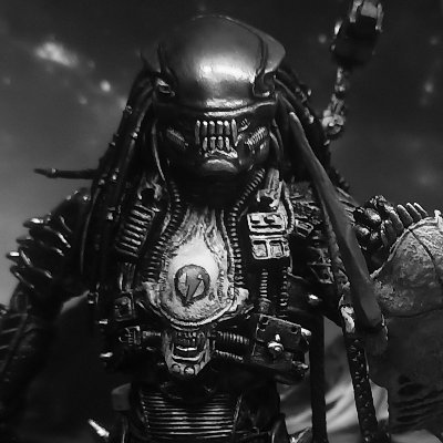Action Figure Collector/Customizer/Photographer.