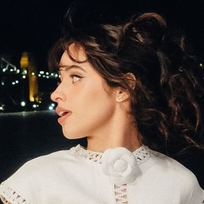 𝘓𝘪𝘷𝘪𝘯𝘨 𝘵𝘩𝘦 𝘥𝘳𝘦𝘢𝘮. | fan account | jobros • taylor swift • camila cabello • demi • (+)