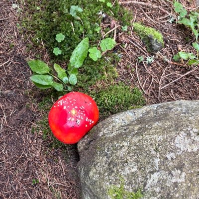 MikeF157's profile picture. mike