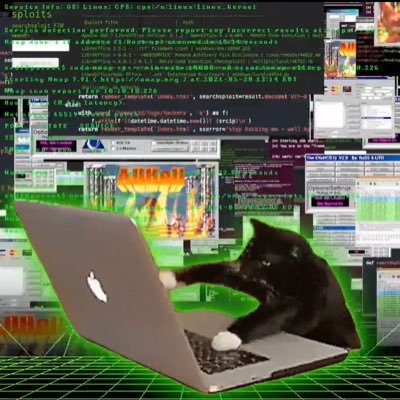 Father - Privacy Advocate - Future Developer & CyberSec Pro