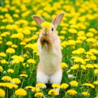 恋愛すると重くなっちゃうって言われる。尽くしすぎちゃうのかも。そんな私でもいいって言ってくれる人いますか?一途な人が好きです。