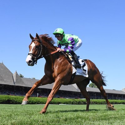 Horse racing handicapper. Sharing picks, insights, and the thrill of the track. Passionate about the sport, the stories, and finding value in every race.
