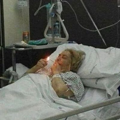 ylansiken's profile picture. 