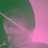 geraldyprs's profile image