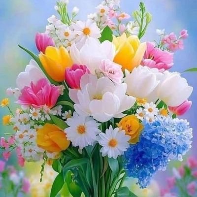 antice44's profile picture. Give respect take respect.