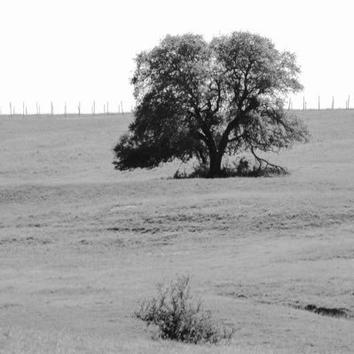 StillSublimity's profile picture. Markwellian | Photos are mine