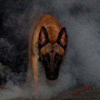 Monkey The Picasso (@monkeypicasso2) 's Twitter Profile Photo Monkey The Picasso (@monkeypicasso2) 's Twitter Profile Photo