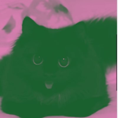 jomblokesayanga's profile picture. Si jomblo yang disayang semua orang . HA HA HA *downbadforcutie *typo #sebenarnyasayaduaorang