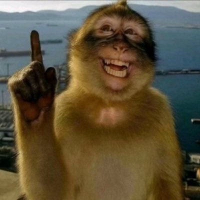 benitoTocamel0's profile picture. nuevo a qui 😳