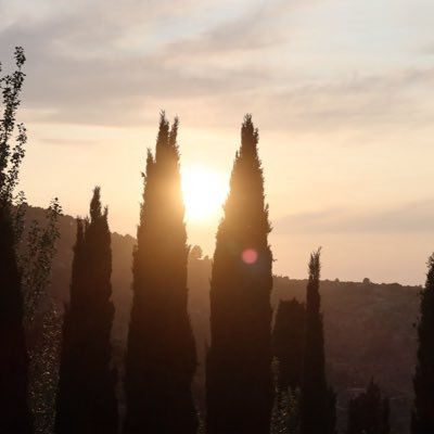 paramountainel's profile picture. 