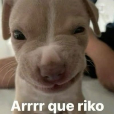 Juceypucey's profile picture. 