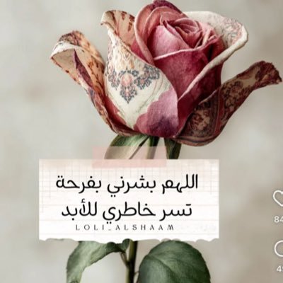 a_g_lo's profile picture. عزيز النفس دايّم حاجته بالنفس يكتمها…يارب فرحةٌ لا تسعنا الأرضَ من شدّتها...'