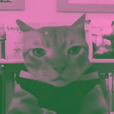 dinobagelen's profile picture. biskuit aneka rasa