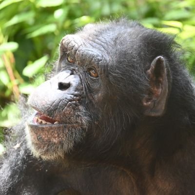 アイコン
ズーラシアのアラレちゃん🍒
動物園で母親に抱かれて来れなかった、人工で育った子達…
昭和の時代無理やり親から離されてしまった動物さんごめんね😢
そんな子達を…日々応援してます🍀
フロサポ🐬
しょうじリスナー
一味好き🙆
案内さん…も😊
ストグラ観測者