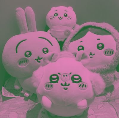 Sunriさんのプロフィール画像