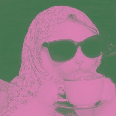 bnrtpslh's profile picture. gila mah gila aja🤐