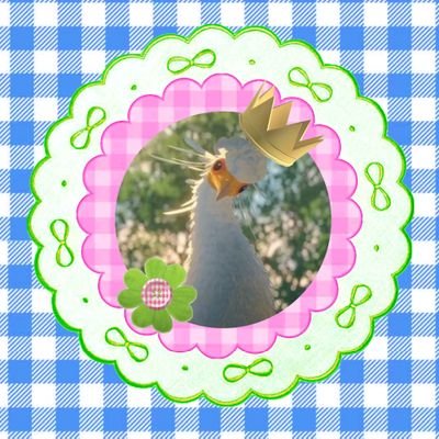𐙚 望璃 ◍'◡'◍ ❁ 🍀さんのプロフィール画像
