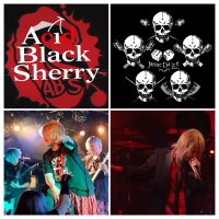 sue(11/1鹿鳴館AcidBlackSherry・JanneDaIce） (@jannedaice) / X