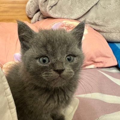 TKCP7BfNzin0WQx's profile picture. #😈😈😈