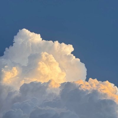ruirui_Design's profile picture. Webデザイナー目指して勉強中です!! | #デイトラ Webデザインコース（2025.09〜） | 空と海が好き☁️🏝️ | 趣味はイラストを描くこと🎨 | 無言フォロー失礼します🙇