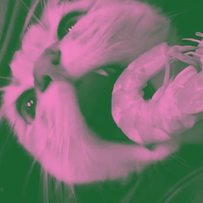Eferen π Profile