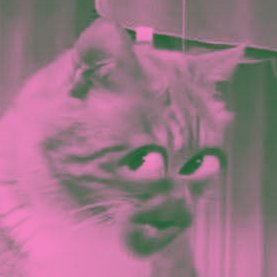 rejouiz's profile picture. ⓘ akun ini ritwit — silent reader as always awokaowkaokwoakwoakwoakwoakow