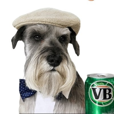 Veteran and ex- law enforcement, Love my family & friends, schnauzer owner & enthusiast. Cricket tragic, Sydney Roosters & Western Bulldogs die hard.