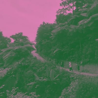 AllonMoss's profile picture. gugugaga. free🇵🇸🇸🇩🇪🇭🇨🇩🇹🇿✊🏽