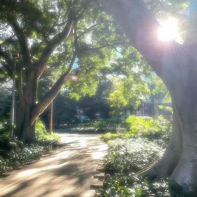 اِمْشِ بِقَلْبٍ خَفِيفٍ فِي طُرُقِ الحَيَاة🌞الخاص معطل ⛔