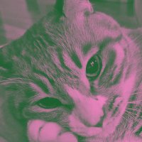 nasi bungkus (@decpride) 's Twitter Profile Photo