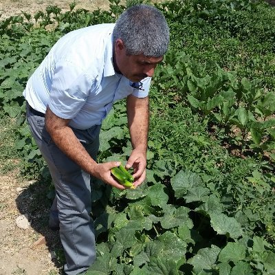 cumhur ittfakı
Ana hesap askı oldu
yeniden başladık