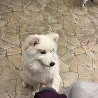 管理栄養士NS🐣 (@ns_dietitian) Twitter profile photo