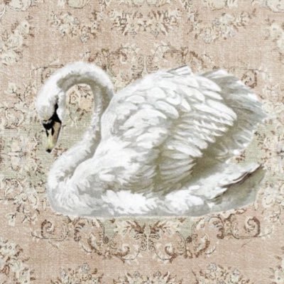 Sarahi_lopezA's profile picture. 