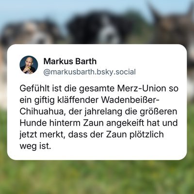 Das C steht ja auch für Charakterlos nur die geistigen schmal Spur Wähler der Konservativen schnallen das nicht #niemehrcducsu