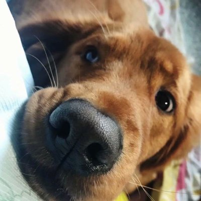 QianyueC4935's profile picture. Follow back  💯💯💯💯💯💯💯💯💯Mutual follow 맞팔100%💯💯💯