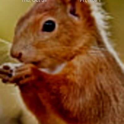 Jamie_0105's profile picture. 