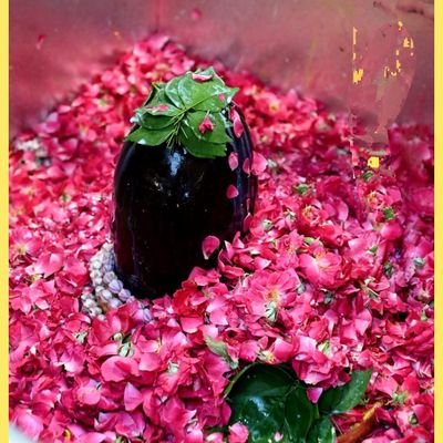 Enterpreneur07's profile picture. Social Worker