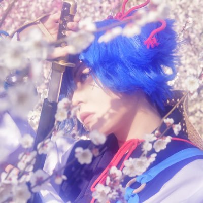 豆太郎@社畜で死んでるさんのプロフィール画像