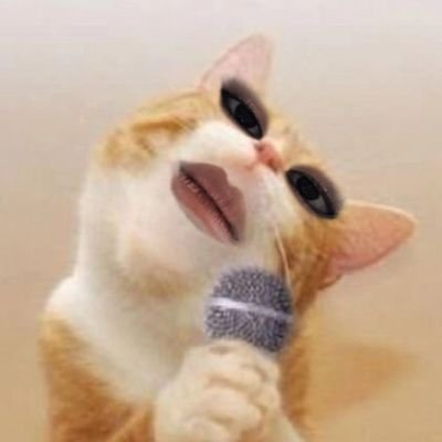 🫵さんのプロフィール画像