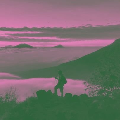 anotherdyes's profile picture. 