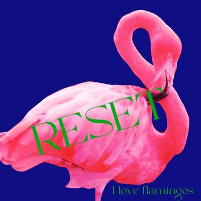 Xia| 20~21yo|EN/ID|i block people easily| i love flamingos(secret account i block my irls)