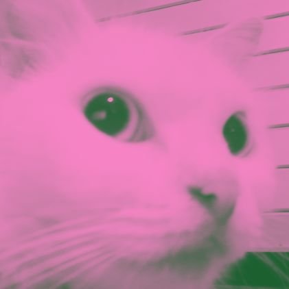 Yuvii606's profile picture. KPop, jpop, anime, manhwa, donghua
akun happy happy pokoknya 🙂