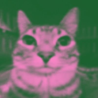 physicsaka's profile picture. 