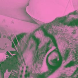 #studytwt → #collegetwt²³ & daily life update
| road to S.Kom👩💻